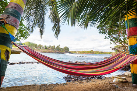 Hammock on the beach on Sri Lankaの写真素材