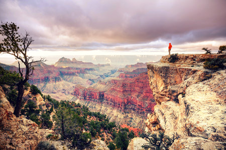 Traveler on cliff mountains over Grand Canyon National Park, Arizona, USA.Inspiring emotion. Travel Lifestyle journey success motivation concept adventure  vacations outdoor concept.の写真素材