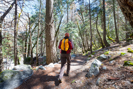 Man hiking bay the trail in the forest.Nature leisure hike travel outdoorの写真素材