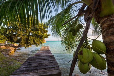 Bacalar lake in the Mexicoの写真素材
