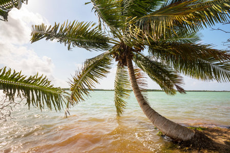 Beautiful summer landscapes  on the tropical beach. Vacation background.の写真素材