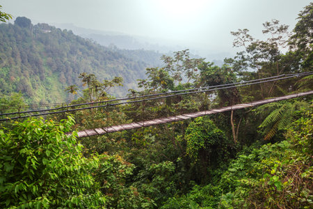 Suspension bridge in jungle, Sri Lankaの写真素材