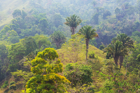 Beautiful tropical landscapes in Honduras- green mountains in jungleの写真素材