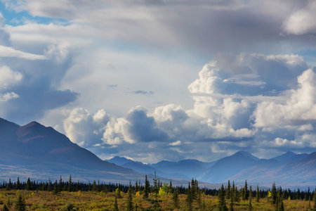Picturesque Mountains of Alaska in summer. Snow covered massifs, glaciers and rocky peaks. Beautiful natural background.の写真素材