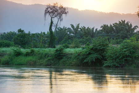 Tropical river in the green jungleの写真素材