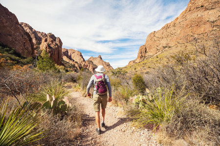 Hike in Big Bend National Park, Texas, USAの写真素材