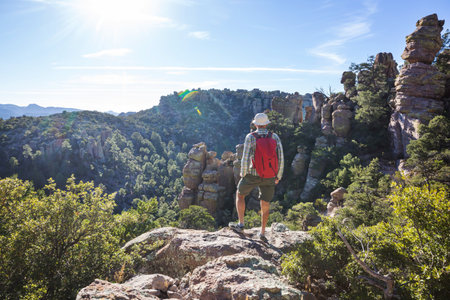Men hiking  in the Chiricahua National Monument, Arizona, USAの写真素材