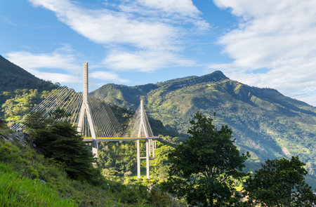 Modern bridge in colombian mountainsの写真素材