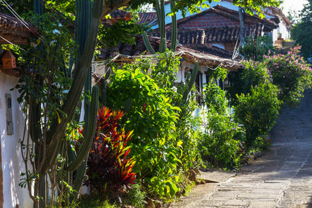 Flowers along the street in colonial ancient town Barichara, Colombia, South America