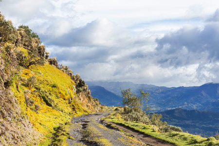 Scenic road in the mountains. Travel background.の写真素材