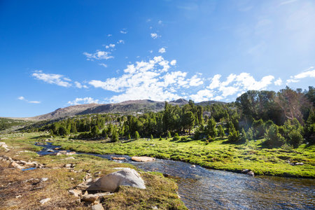 Fresh stream in high mountainsの写真素材