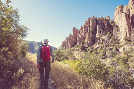 Unusual  landscape at the Chiricahua National Monument, Arizona, USAの写真素材