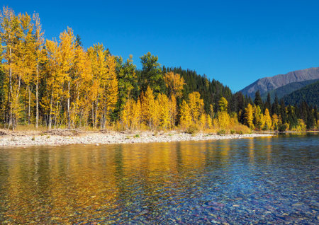 autumn season on the blue riverの写真素材