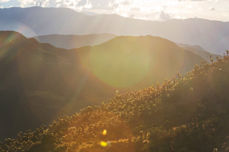 Beautiful high mountains in Colombia_*の写真素材