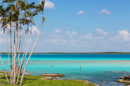Beautiful landscape n Laguna Bacalar in Mexicoの写真素材