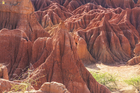 Unusual landscapes in Tatacoa desert, Colombia, South Americaの写真素材