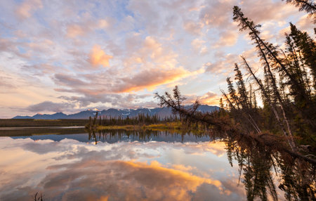 Serene scene by the mountain lake in Canadaの写真素材