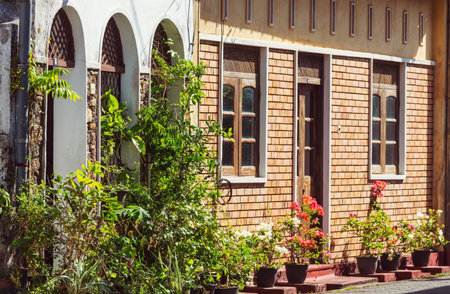 Collection of colorful flowers and ornamental plants in pots on a corner of town streetの写真素材
