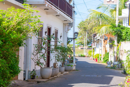 Collection of colorful flowers and ornamental plants in pots on a corner of town streetの写真素材