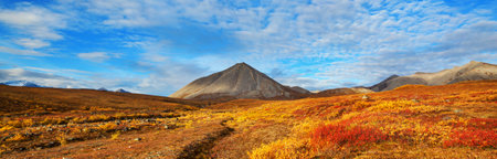 Tundra landscapes above Arctic circle in autumn season. Beautiful natural background.の写真素材