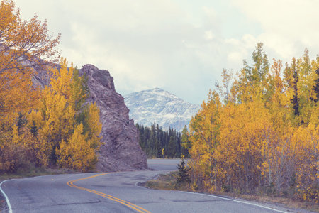 Colorful Autumn scene on countryside road in the forestの写真素材