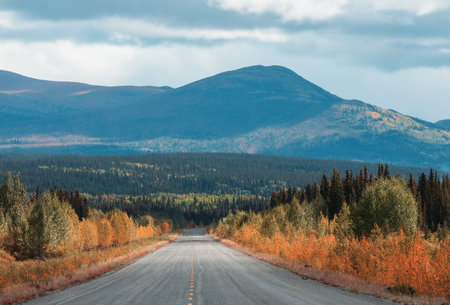 Colorful Autumn scene on countryside road in the forestの写真素材