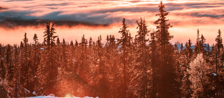 Beautiful Norway landscapes in summer season