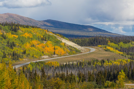 Colorful Autumn scene on countryside road in the forestの写真素材