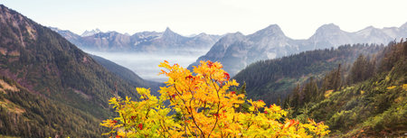 Colorful Autumn season in mountains,の写真素材