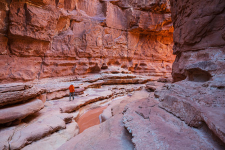 Slot canyon in Grand Staircase Escalante National park, Utah, USA. Unusual colorful sandstone formations in deserts of Utah are popular destination for hikers.の写真素材