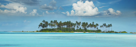 Beautiful Maldives beach. Natural beautiful background.