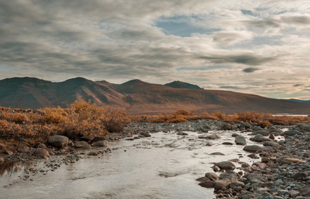 Creek in arctic tundra in the autumn season, Dalton highway, Alaska, USAの写真素材