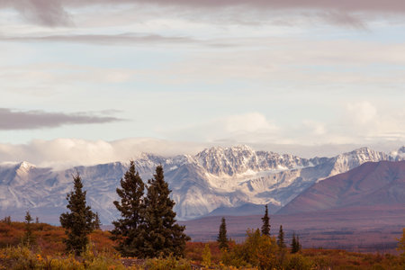 Picturesque Mountains of Alaska in autumn. Snow covered massifs, glaciers and rocky peaks, orange trees. Beautiful natural background.の写真素材