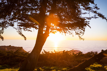 sea sunset for natural backgroundの写真素材