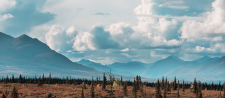 Picturesque Mountains of Alaska in summer. Snow covered massifs, glaciers and rocky peaks. Beautiful natural background.の写真素材