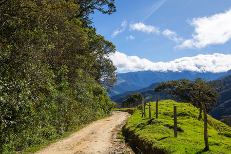 Dirt road in colombian mountains, South Americaの写真素材