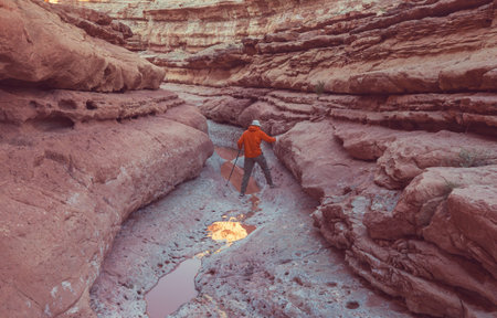Slot canyon in Grand Staircase Escalante National park, Utah, USA. Unusual colorful sandstone...