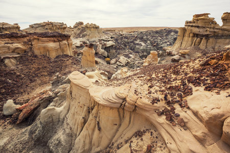 Unusual desert landscapes in Bisti badlands, De-na-zin wilderness area, New Mexico, USA