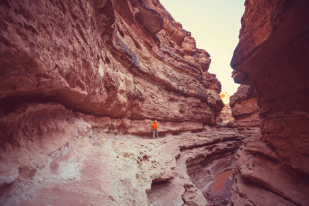 Slot canyon in Grand Staircase Escalante National park, Utah, USA. Unusual colorful sandstone formations in deserts of Utah are popular destination for hikers.の写真素材