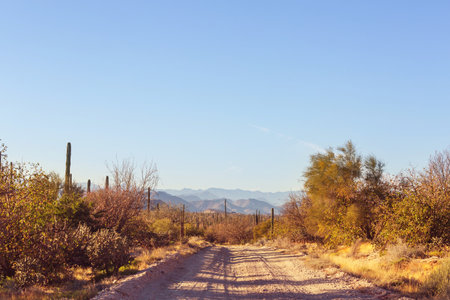 Beautiful natural landscapes in Baja California, Mexicoの写真素材