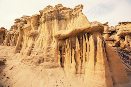 Unusual desert landscapes in Bisti badlands, De-na-zin wilderness area, New Mexico, USA