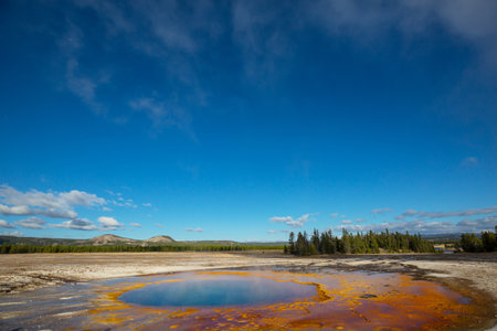 Inspiring natural background. Pools and  geysers  fields  in Yellowstone National Park, USA.