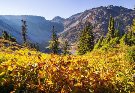 Beautiful mountain peak in  North Cascade Range, Washington,  USAの写真素材