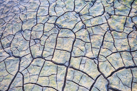 White raw texture on drought landの写真素材