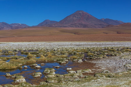 Beautiful natural landscapes in Atacama desert, northern Chileの写真素材