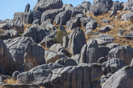 Natural Stone Forest in Peru: Huallay in Pasco.の写真素材