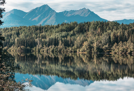 Serenity lake in tundra in Alaskaの写真素材