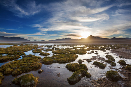 Beautiful natural landscapes in Atacama desert, northern Chileの写真素材