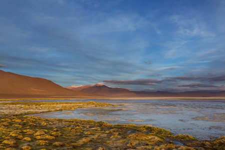 Altiplano Lake in  Andes mountains, Bolivia, South Americaの写真素材