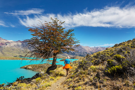 Hike in the Patagonian mountains, Argentinaの写真素材